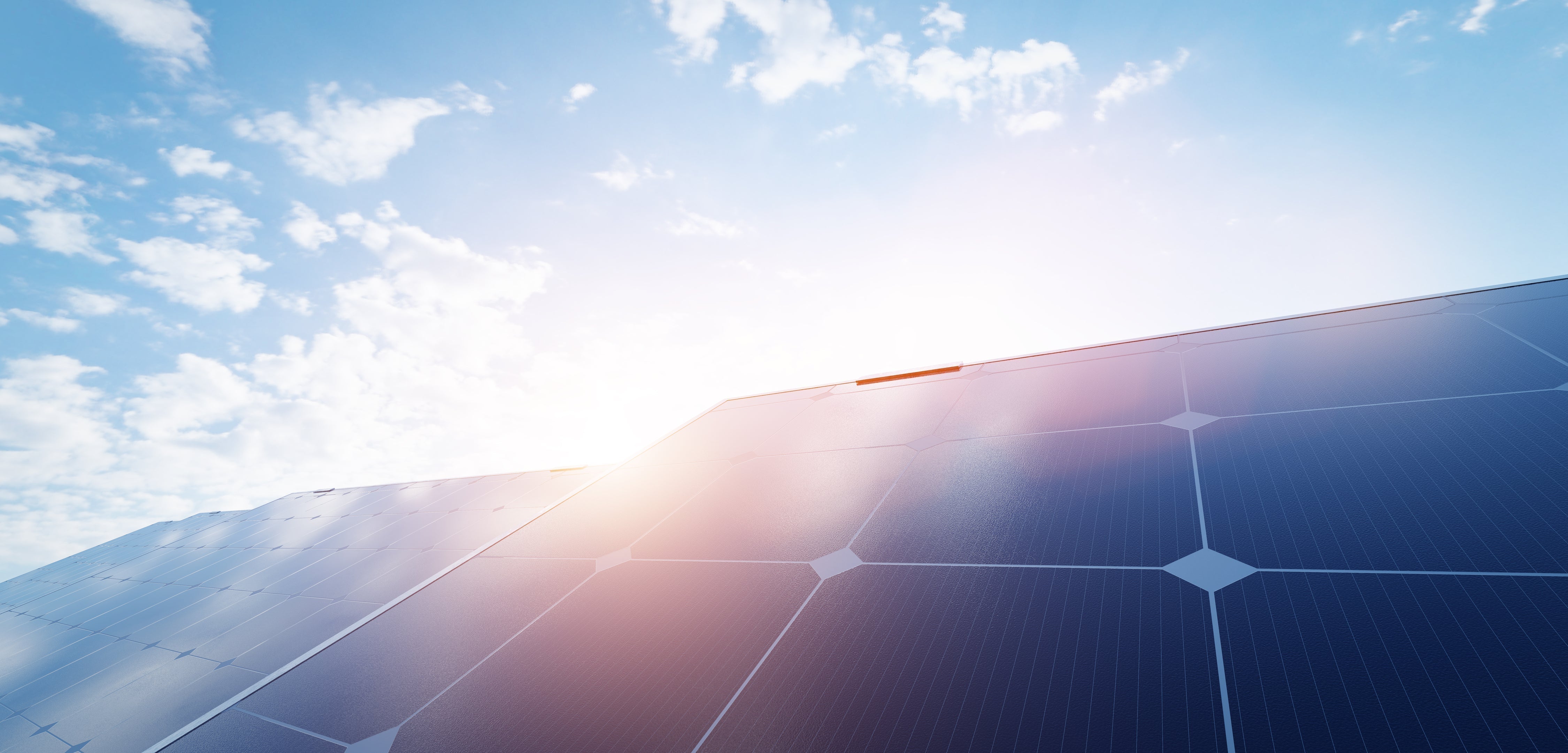 CLIP launched to accelerate homegrown climate tech solutions